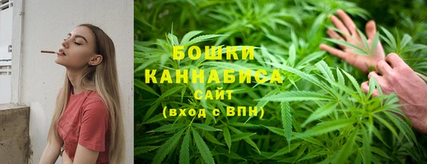 mdpv Богданович