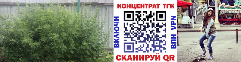 Купить  Мичуринск  Дистиллят ТГК гашишное масло 