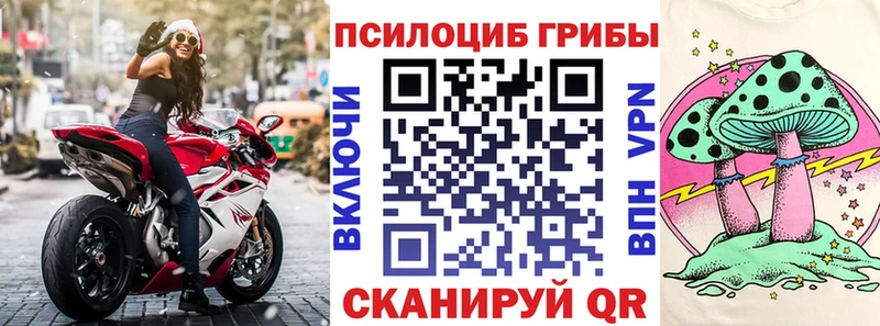 Псилоцибиновые грибы Magic Shrooms  Купить  Мичуринск 